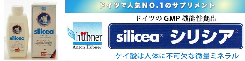 �V���V�A���E�Ńo�J����V���J�T�v�������g���T�C�g